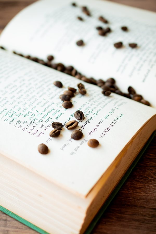 Reading Room Roast Ethiopia Sidamo - Whole Bean Coffee 12oz - Image 3